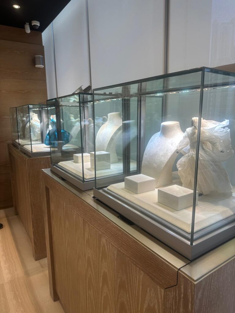 Refining Ambience: Customizing a Showcase Through Lighting Transformation