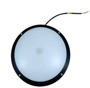 HSGT312- CEILING SURFACE MOUNTED LIGHT