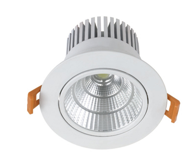 HSNW838-DOWNLIGHT
