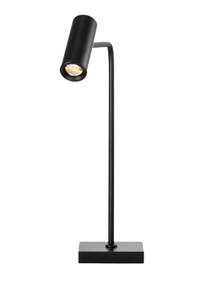 HSGSWY0049 FLOOR LIGHT